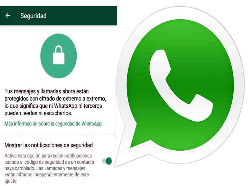 ¿qué Son Las Notificaciones De Seguridad En Whatsapp Usos Y Funciones Aprende Cómo Hacerloemk 9192