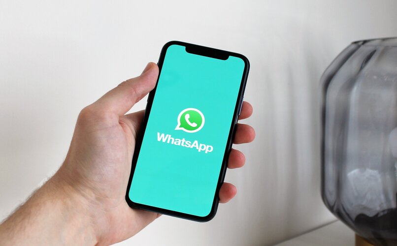 app movil de whatsapp iniciando