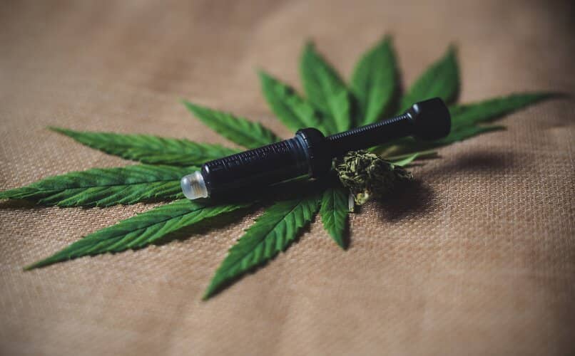 pipa para fumar cannabis junto a planta