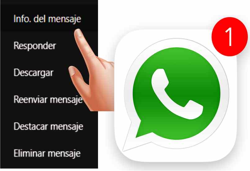 ver info del mensaje en whatsapp