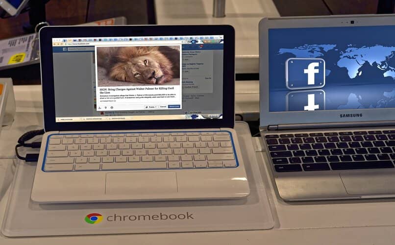 laptop con pagina de facebook en inicio