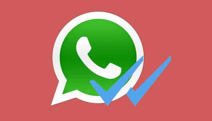 logo de whatsapp con un visto
